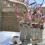 Sunaba Kasri Assos