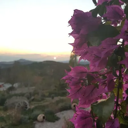 Hotel Sunaba Kasri *